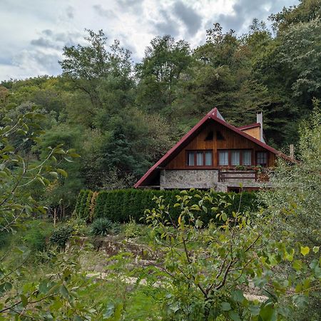 Casa Din Padure Hotel Orsova Bagian luar foto