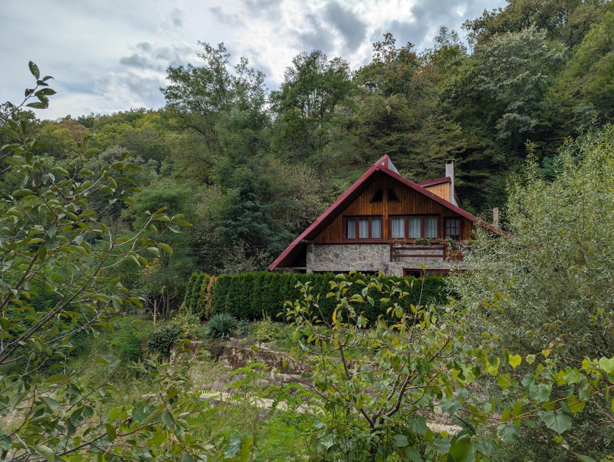 Casa Din Padure Hotel Orsova Bagian luar foto