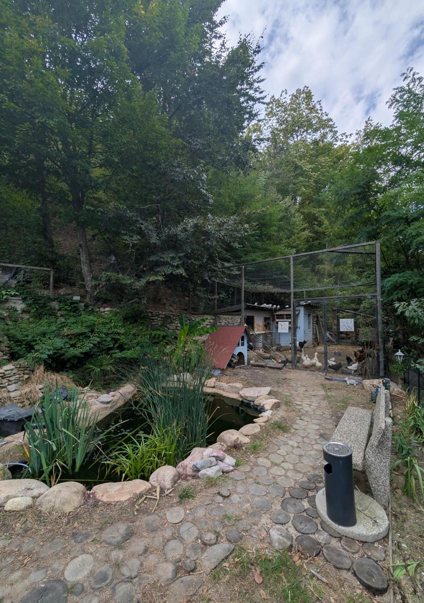 Casa Din Padure Hotel Orsova Bagian luar foto